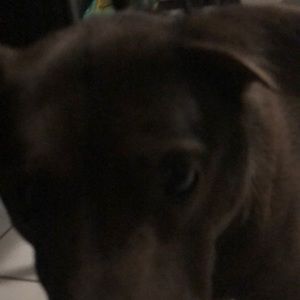 Meet your Posher, Caroline